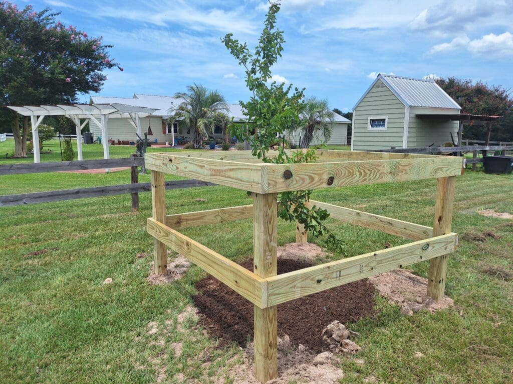 Tree bracing helps support vulnerable trees and prevent breaking branches.